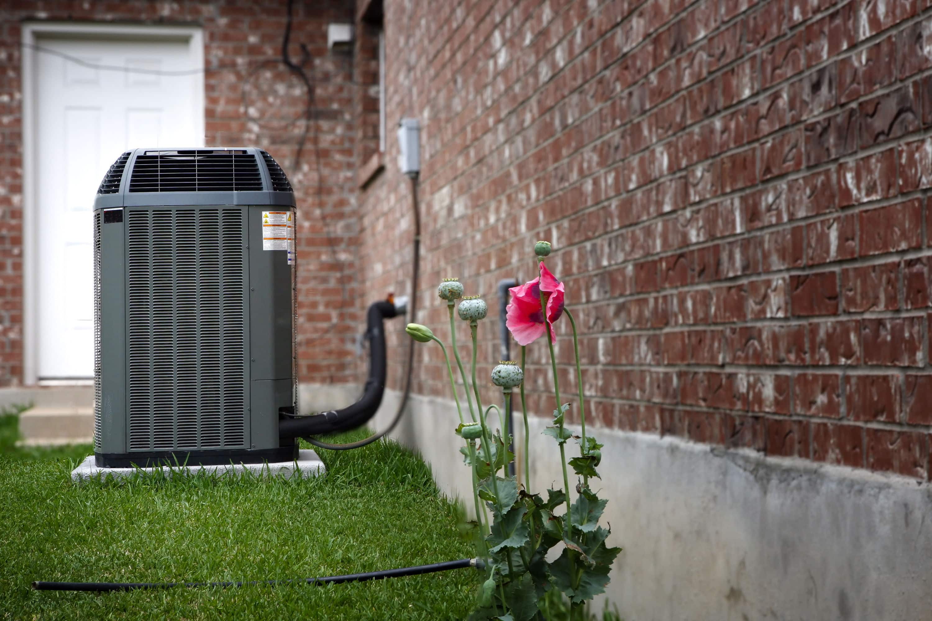 zonnepanelen warmtepomp